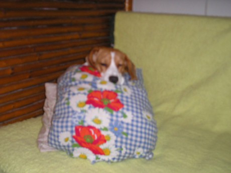 vánoce a silvestr 068.jpg